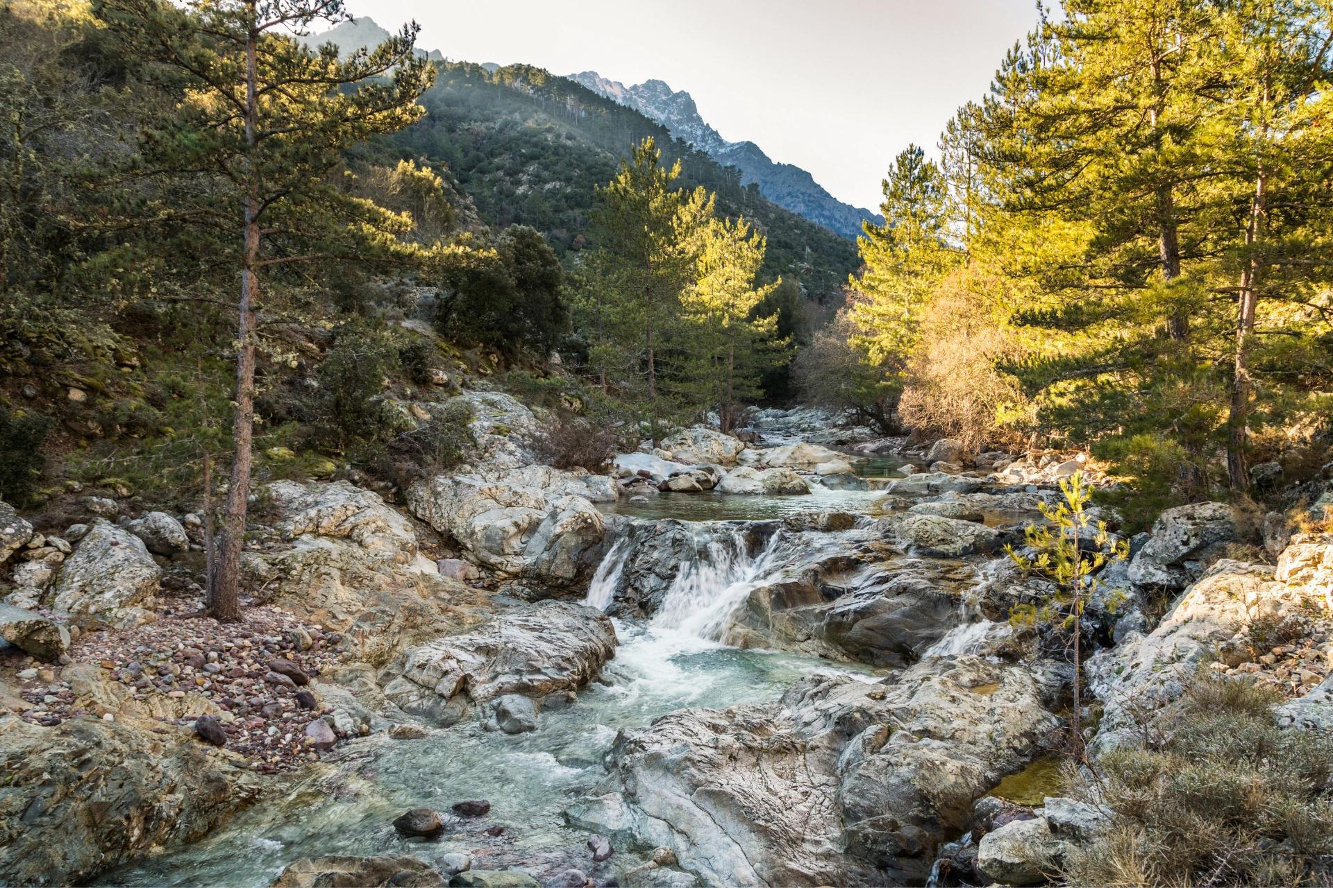 Rivière et forêt de montagne à proximité de l'hôtel San Andrea en Balagne 