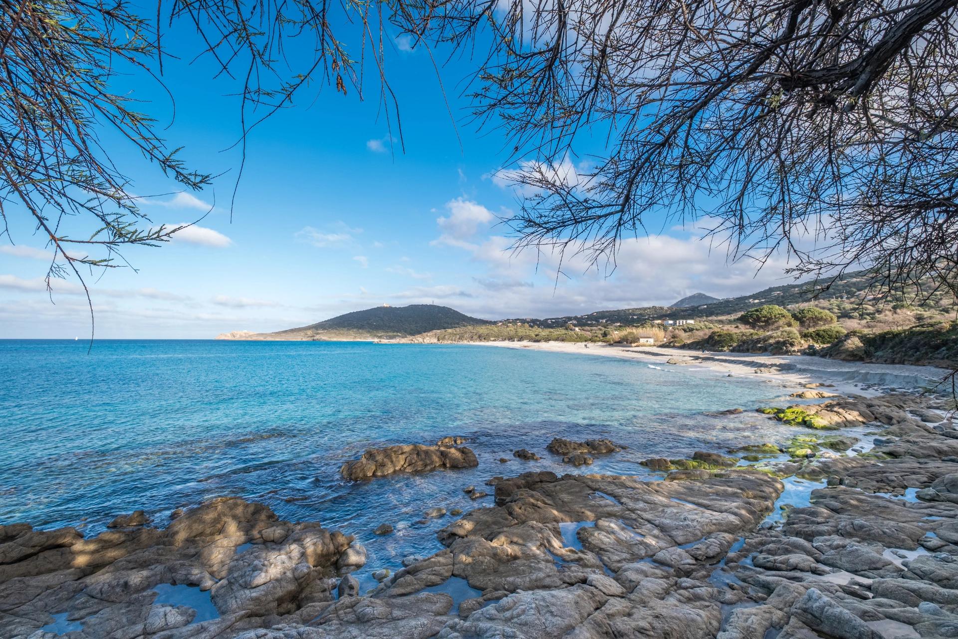 Plage et mer sous les arbres en Balagne près de l'hôtel 4 étoiles San Andrea