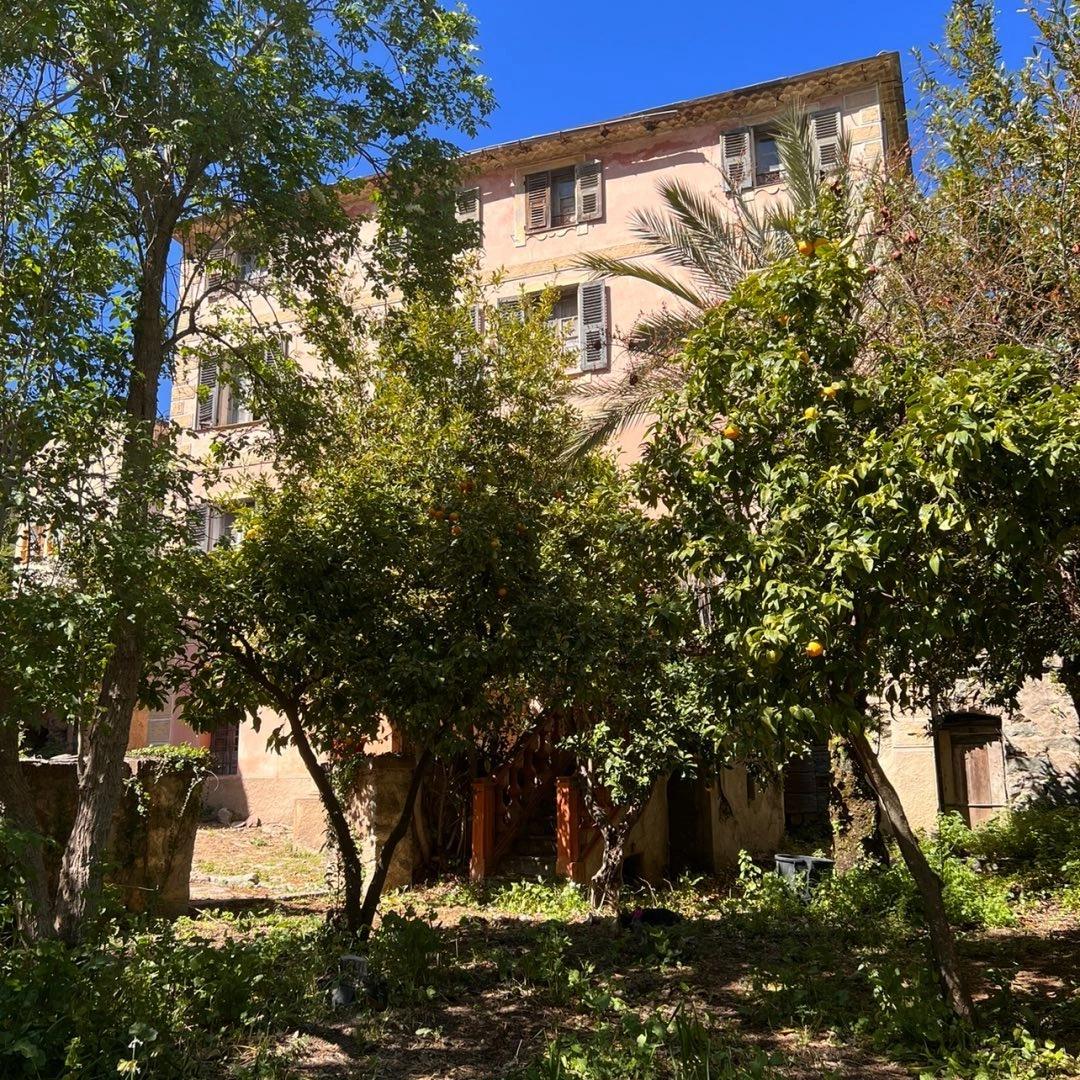 Façade entourée d'arbres et de végétation près de l'hôtel San Andrea