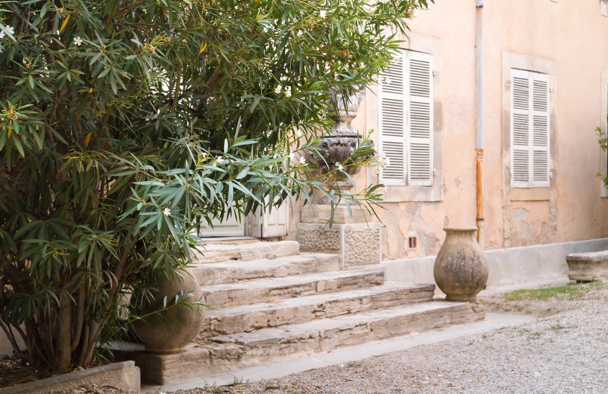 Escalier en pierre et façade claire bordés de plantes devant l'hôtel San Andrea